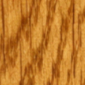 jesion lity